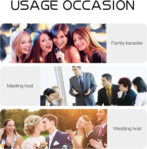 Miniatura 8 de D Debra Audio VM302 VHF Sistema de micrófono inalámbrico con micrófono de mano dual tiene interfaz XLR para el hogar Karaoke boda conferencia habla