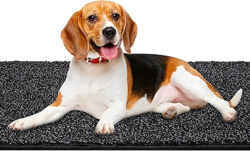 Miniatura 7 de Mibao Tapete para puerta de interior, de 18 x 30 pulgadas, tapete antideslizante de bajo perfil, tapete para puerta de perro, tapete de bienvenida