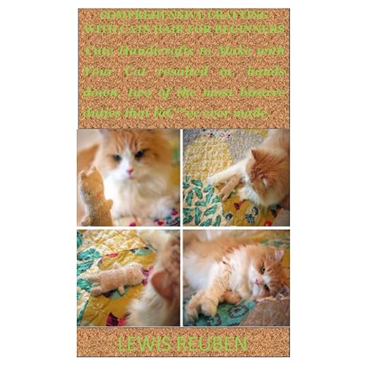 COMPREHENSIVE CRAFTING WITH CATS HAIR FOR BEGINNERS: Cute Handicrafts to Make with Your Cat resulted in, hands down, two of the most bizarre duties that Iâ€™ve ever made.