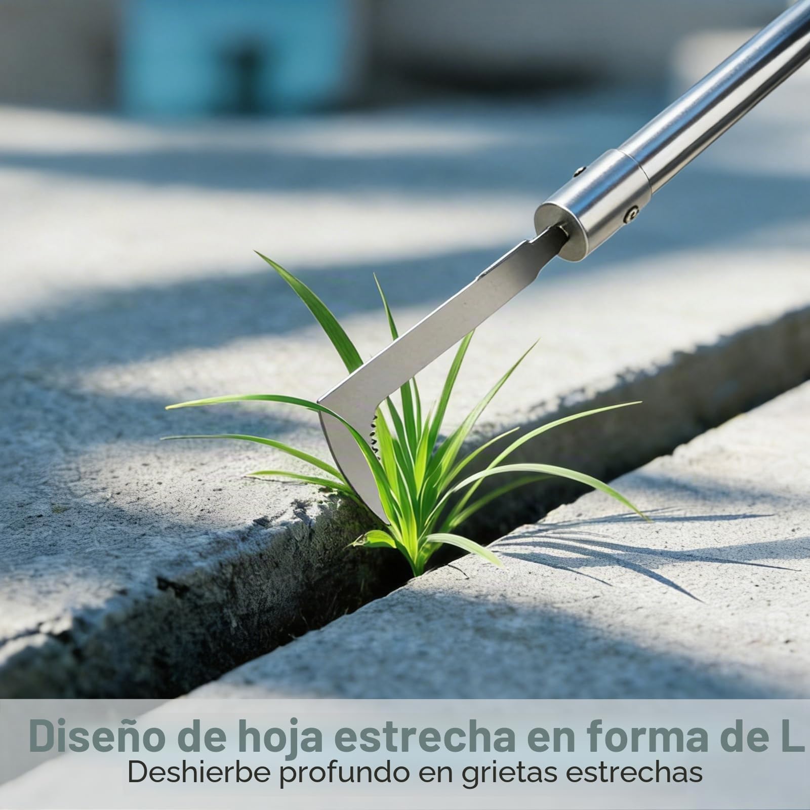 Cepillo de deshierbe 2 en 1 con mango telescópico (160 cm), raspador para juntas de jardín con cuchilla raspador y cepillo de malezas, para limpieza juntas pavimentadas, bordes y eliminación de