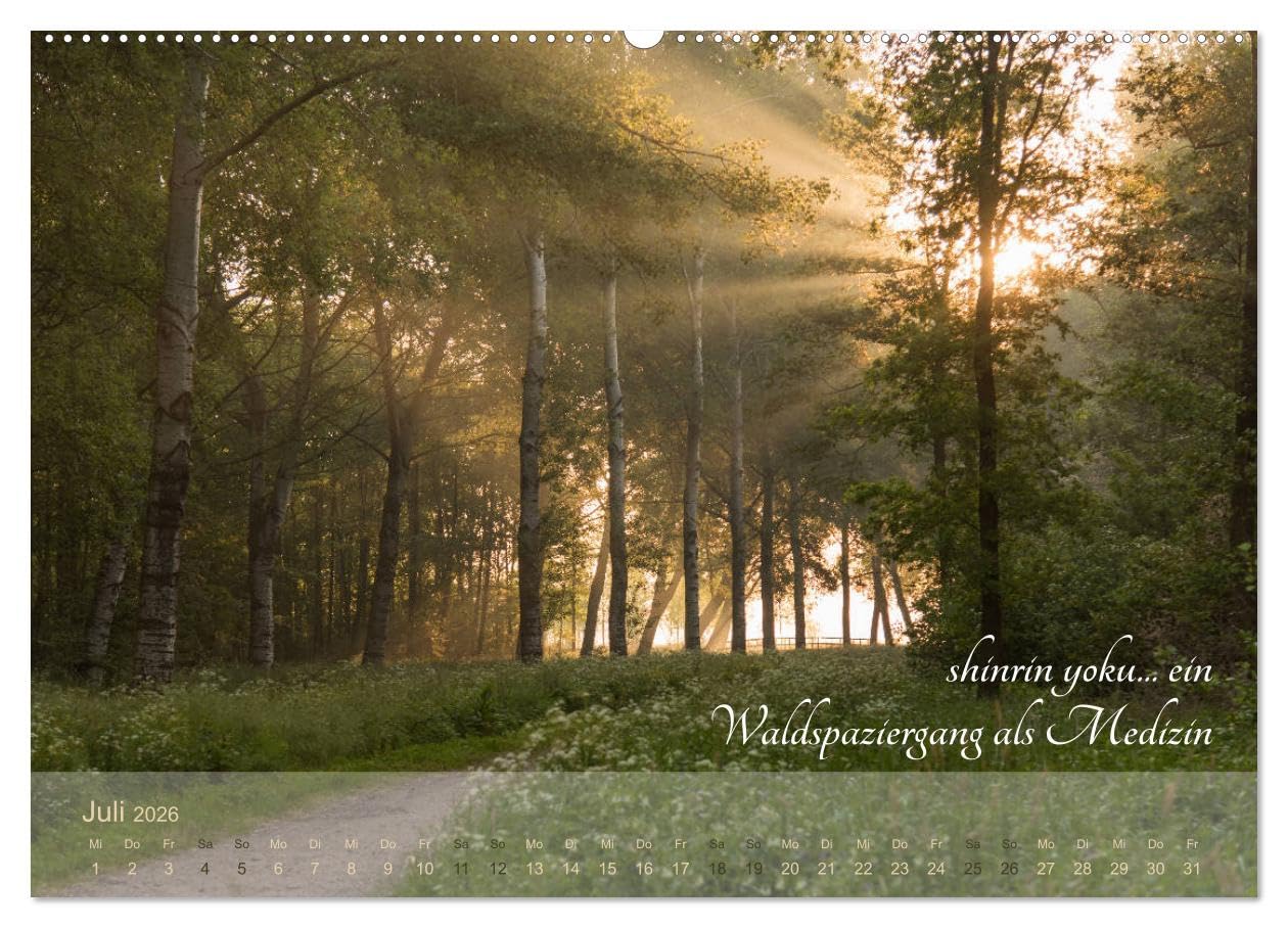 Shinrin yoku - Waldbaden 2026 (hochwertiger Premium Wandkalender 2026 DIN A2 quer), Kunstdruck in Hochglanz: Zwölf einladende Fotografien inspirieren ... abzutauchen (CALVENDO Gesundheit)