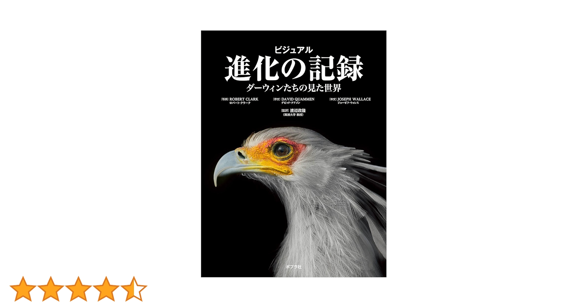 Amazon.co.jp: ビジュアル 進化の記録: ダーウィンたちの見た