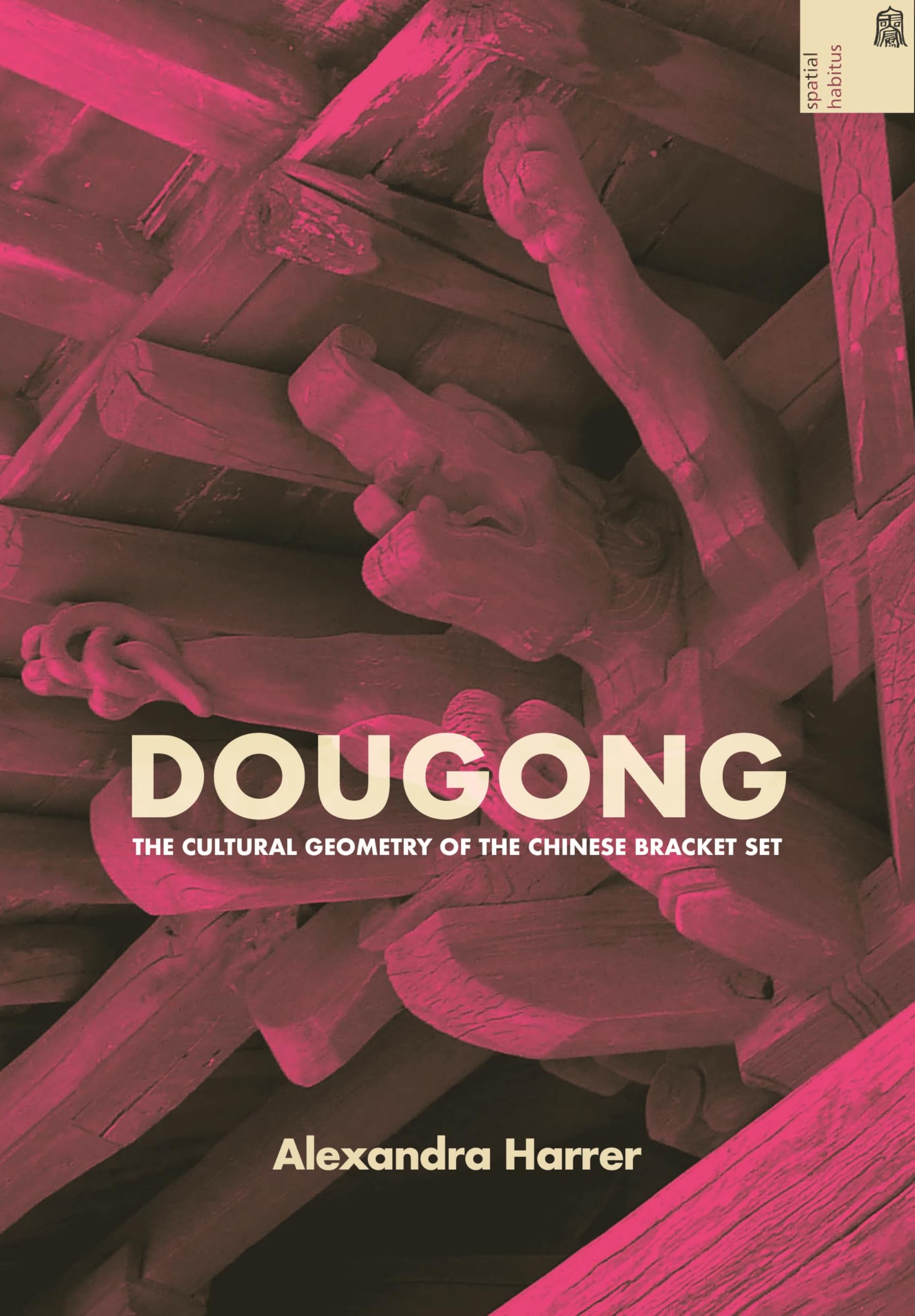 Dougong Chinese Bracket Set beau livre architecture Asie