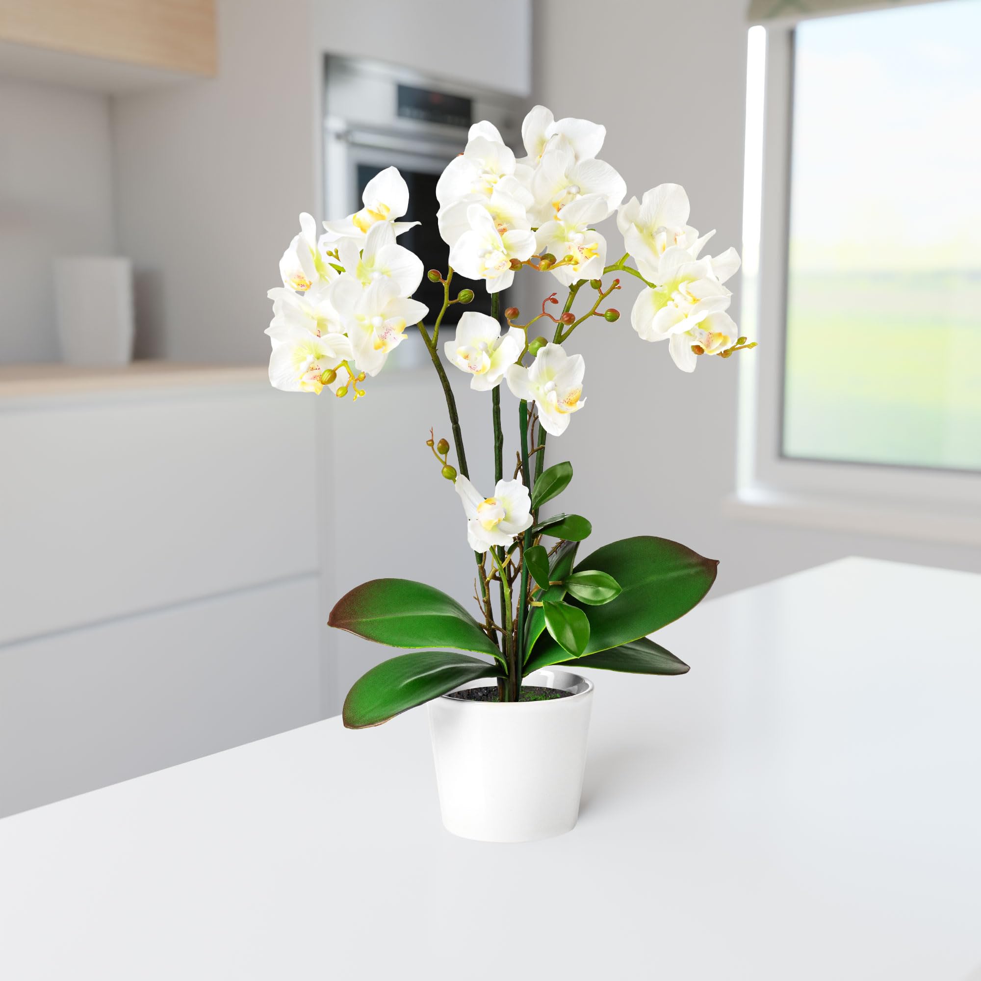 Orquídeas Artificiales PASCH En Maceta De Cerámica - 46 Cm Blanco | Decoración Realista | Sin Mantenimiento