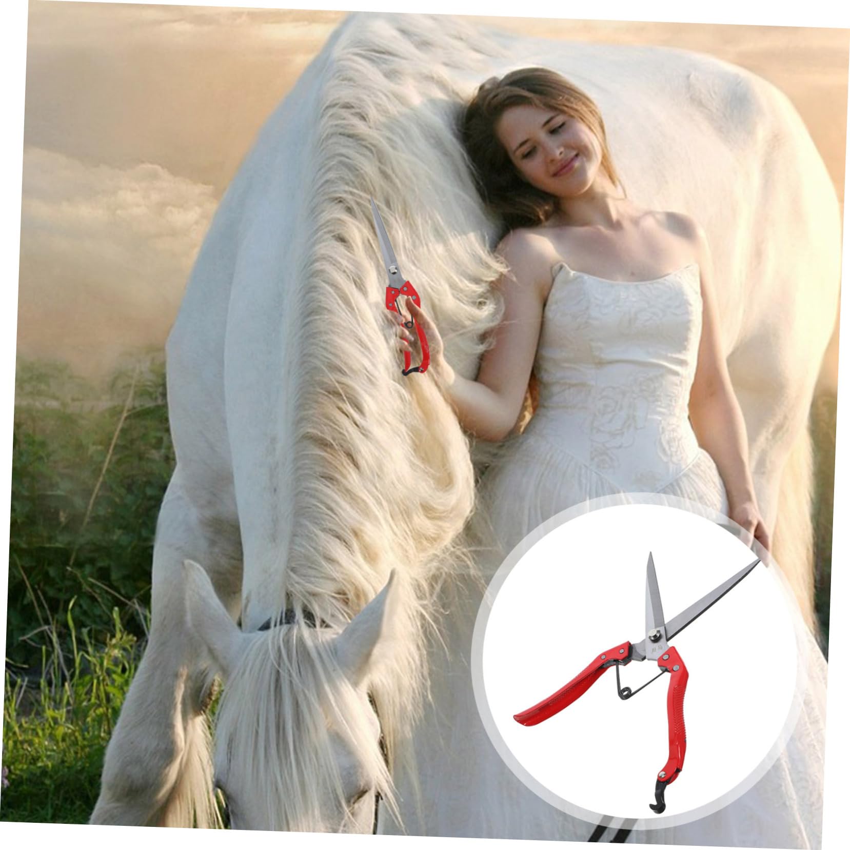 Toddmomy 4pezzi Cesoie Per e Carbonio Strumento Professionale Per La Animali Da Design Ergonomico e Affilata