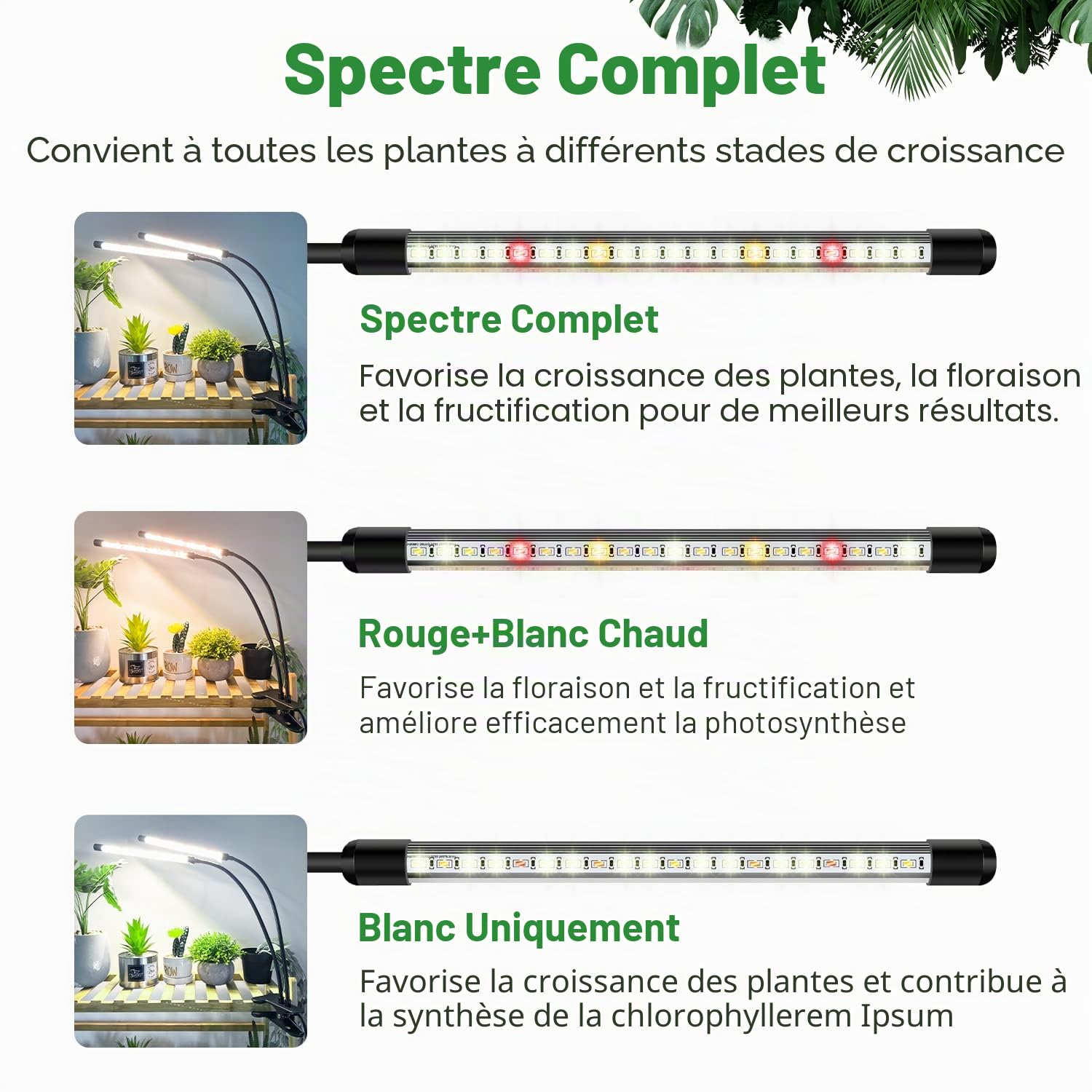 Wolezek Lampe de Plante 2 Pack, Spectre Complet LED pour Plants Intérieur, Croissance avec Auto Minuterie 6/12/16H, 10 Luminosités, 3 Modes, 6000K