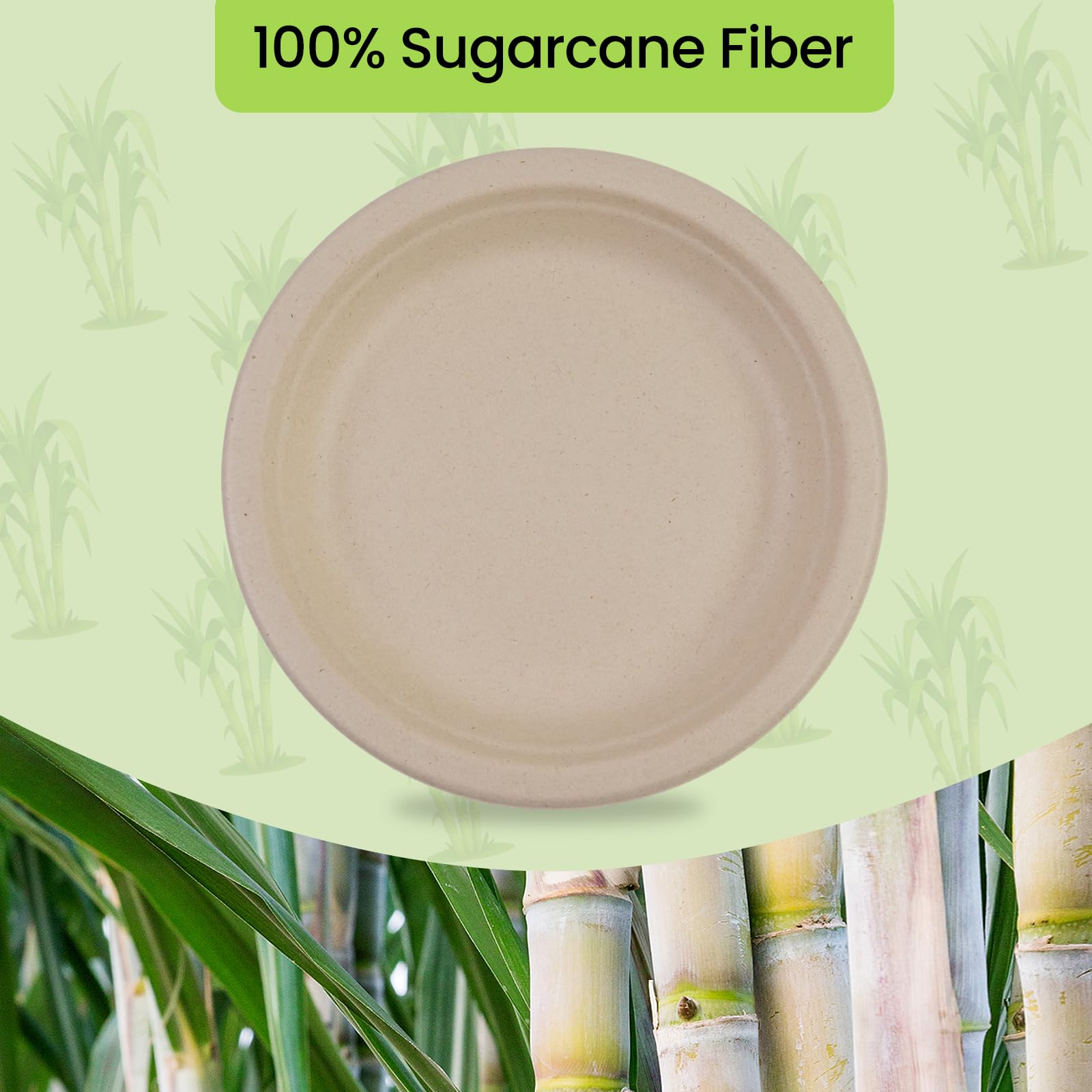 200 platos de papel, 22,9 cm, biodegradables, biodegradables y compostables, respetuosos con el medio ambiente, duraderos, reciclables, perfectos para picnics, barbacoas