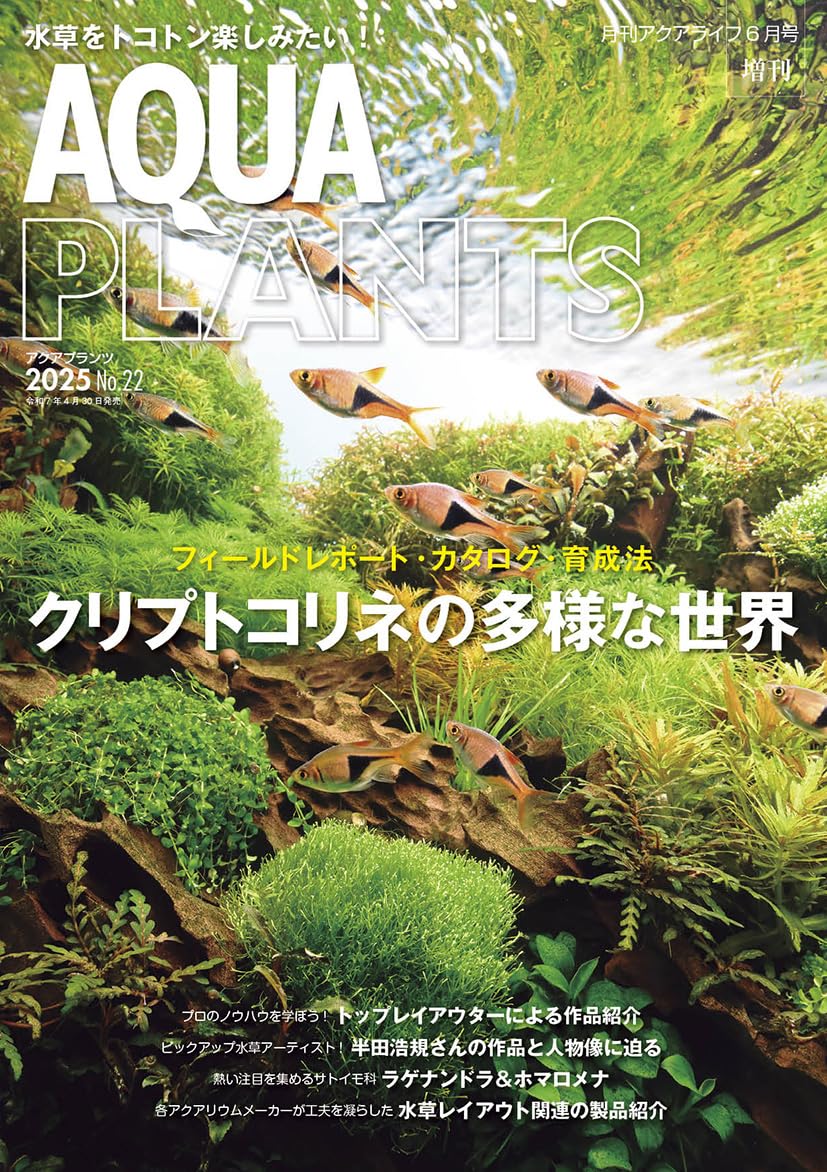 AQUA PLANTS (アクアプランツ) No.22 [雑誌] | アクアプランツ編集部