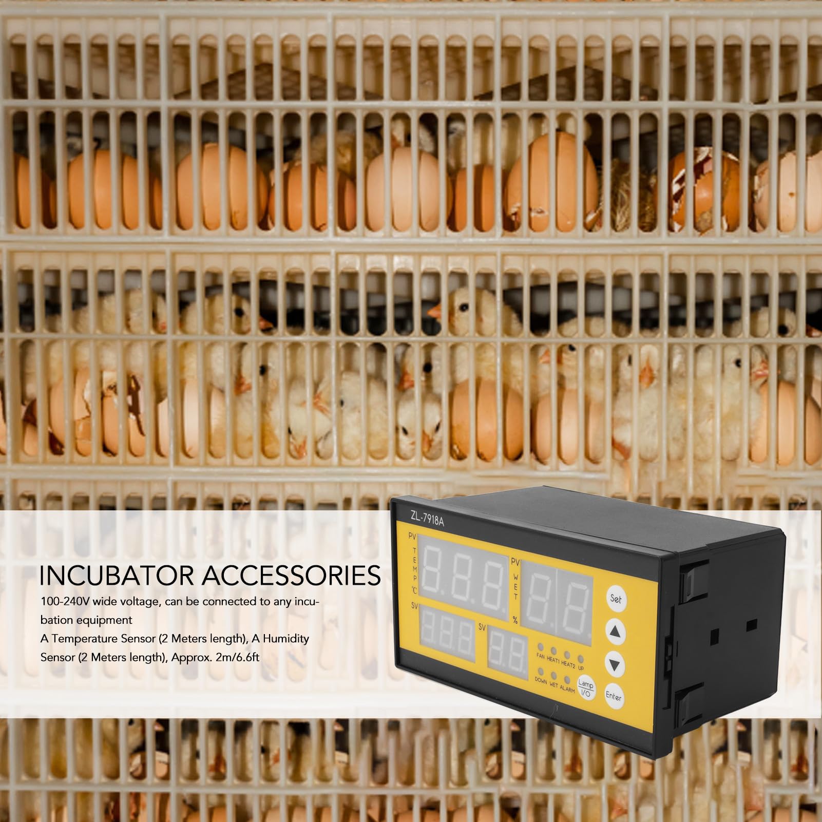 Controlador De Temperatura Digital, Sensor De Humedad De Temperatura De La Incubadora Luz LED Controlador Especial En Inglés, Incubadora Automática Multifuncional Para Incubadora Criadora Refrigerador
