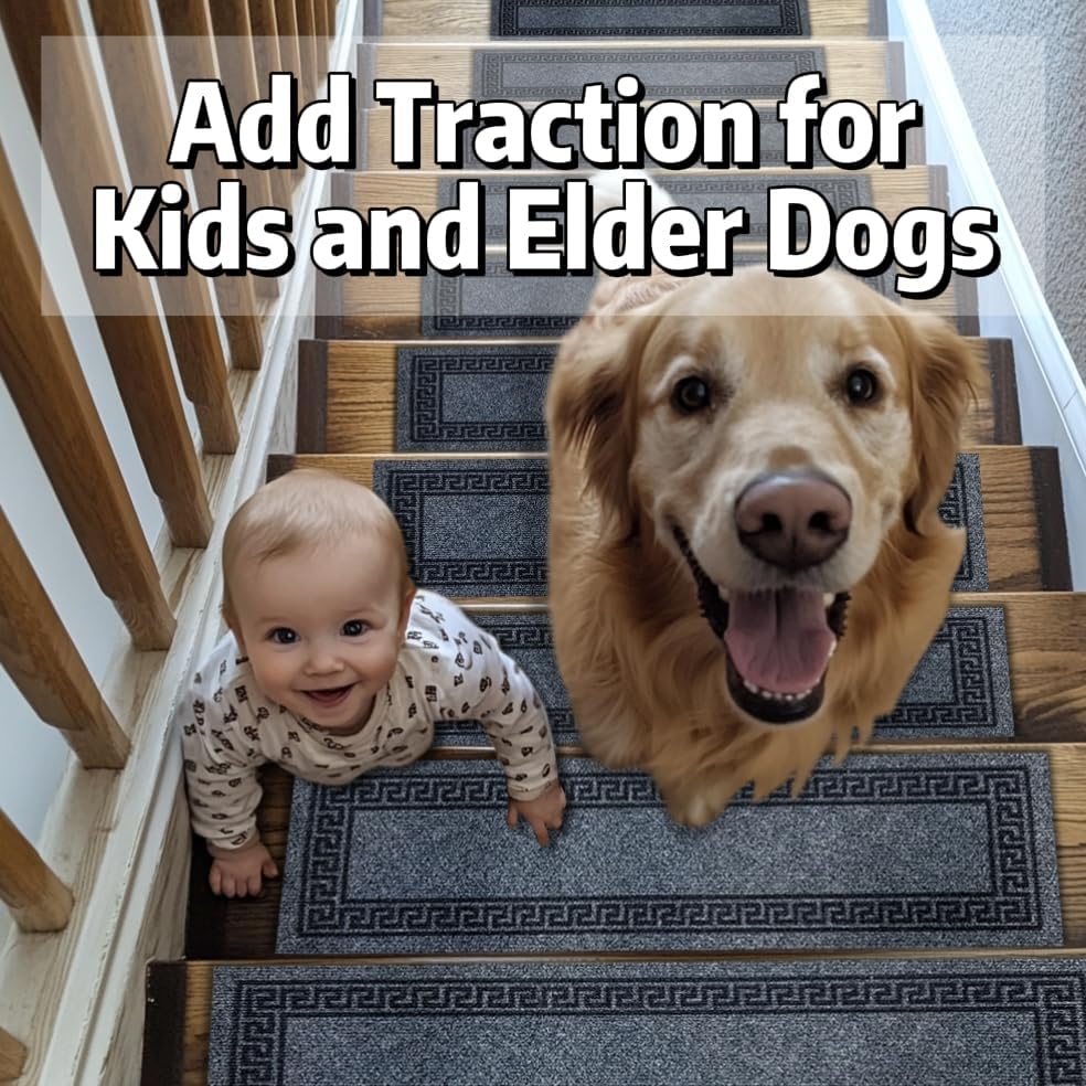 https://m.media-amazon.com/images/I/71C20B3mNOL._AC_.jpg