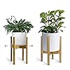 UppWell | Adjustable Wood Plant Stand Indoor | Sturdy Eco-friendly Bamboo | Mid Century Modern Flower & Plant Pot Holder | 8-12 Inch Tall, Large, Short, Small Planter | Plant A Tree With Each Purchase