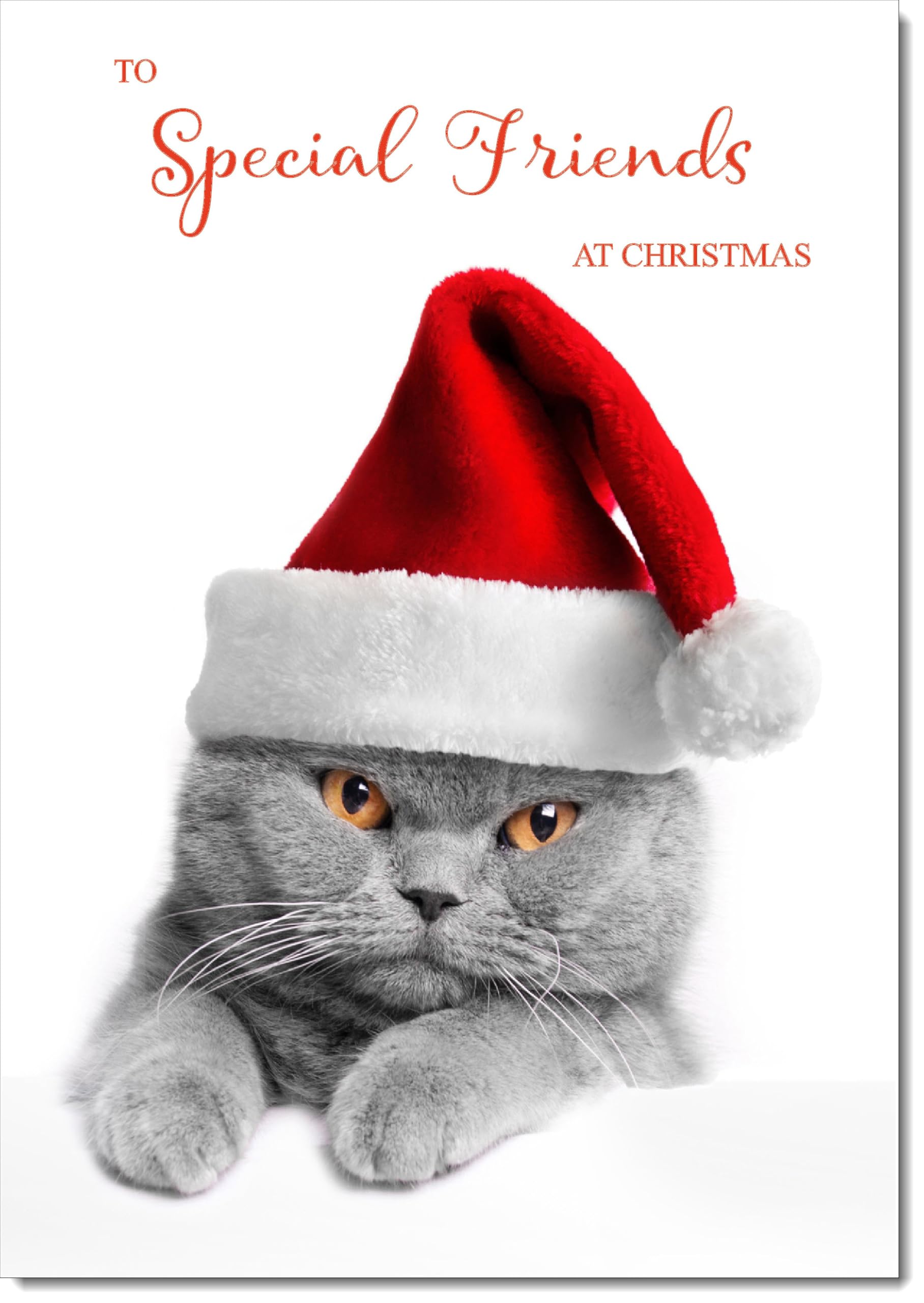 doodlecards Special Friends Christmas Card Grey Cat with Santa Hat Large A4 Size Christmas Card for Special Friends with Plain Envelope — image 1