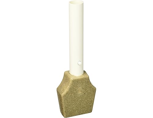 Best Stain Erasers for Effortless Pool Cleaning