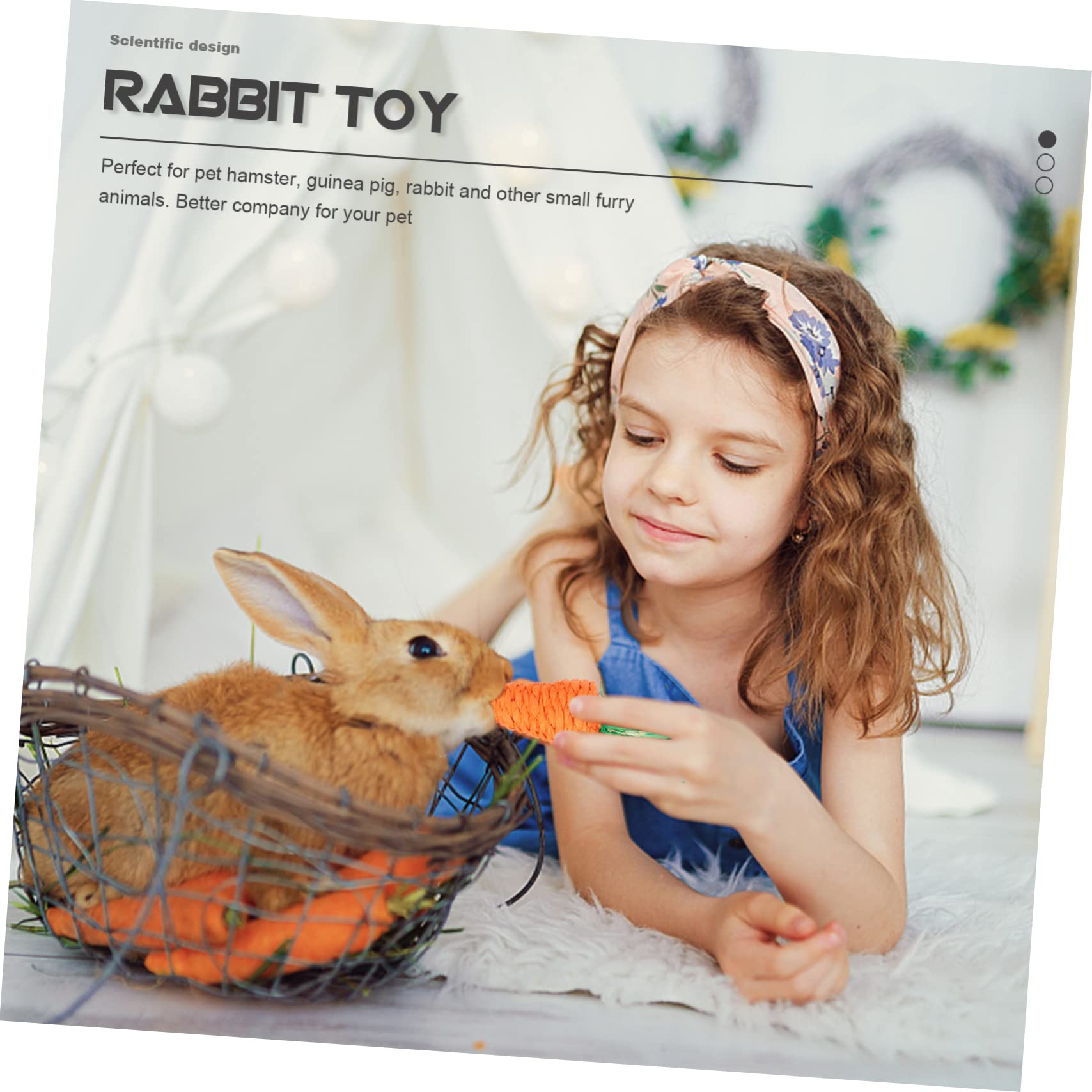 minkissy 2sätze Kleintier Spielzeugset Aus Holz Für Hamster Und Meerschweinchen Teiliges Kauspielzeug Mit Naturmaterialien Fördert Zahngesundheit Und Beschäftigung Für Kleine Haustiere