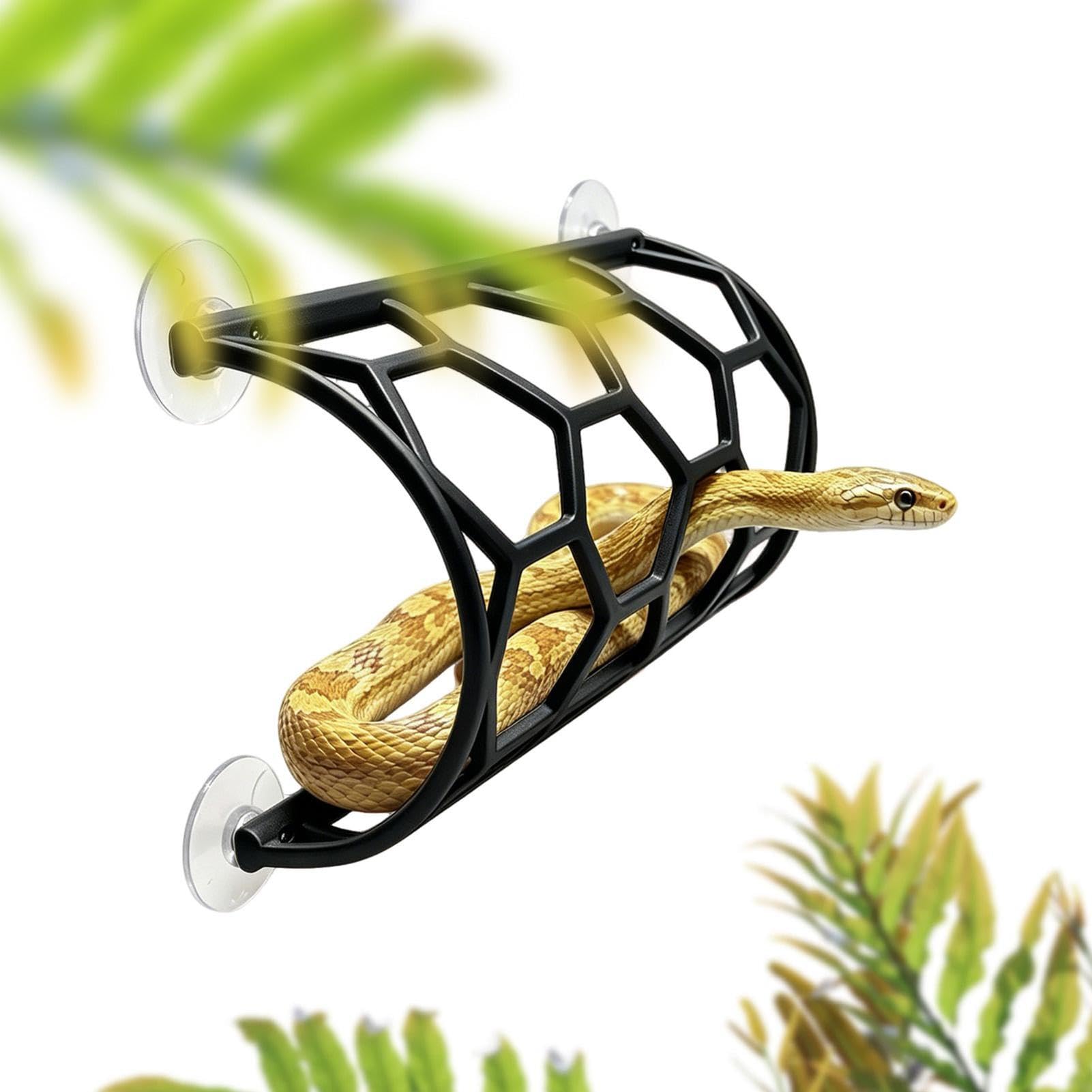 Reptile Tank Decor Suction Cup Honeycomb Terrarium Accessories