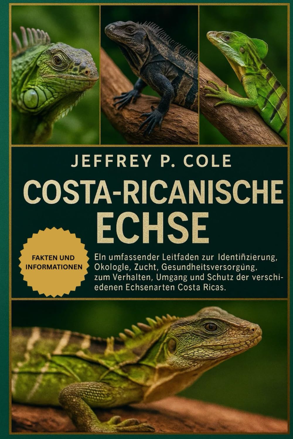 Costa-Ricanische Echse: Ein umfassender Leitfaden zur Identifizierung, Ökologie, Zucht, Gesundheitsversorgung, zum Verhalten, Umgang und Schutz der verschiedenen Echsenarten Costa Ricas.
