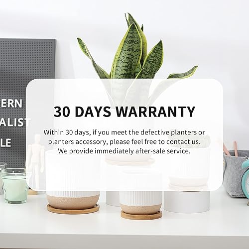 Miniatura 6 de AOMRYOM Macetas pequeñas de cerámica de 4 pulgadas con orificio de drenaje y platillo de bambú, maceta moderna para suculentas, cactus y hierbas,