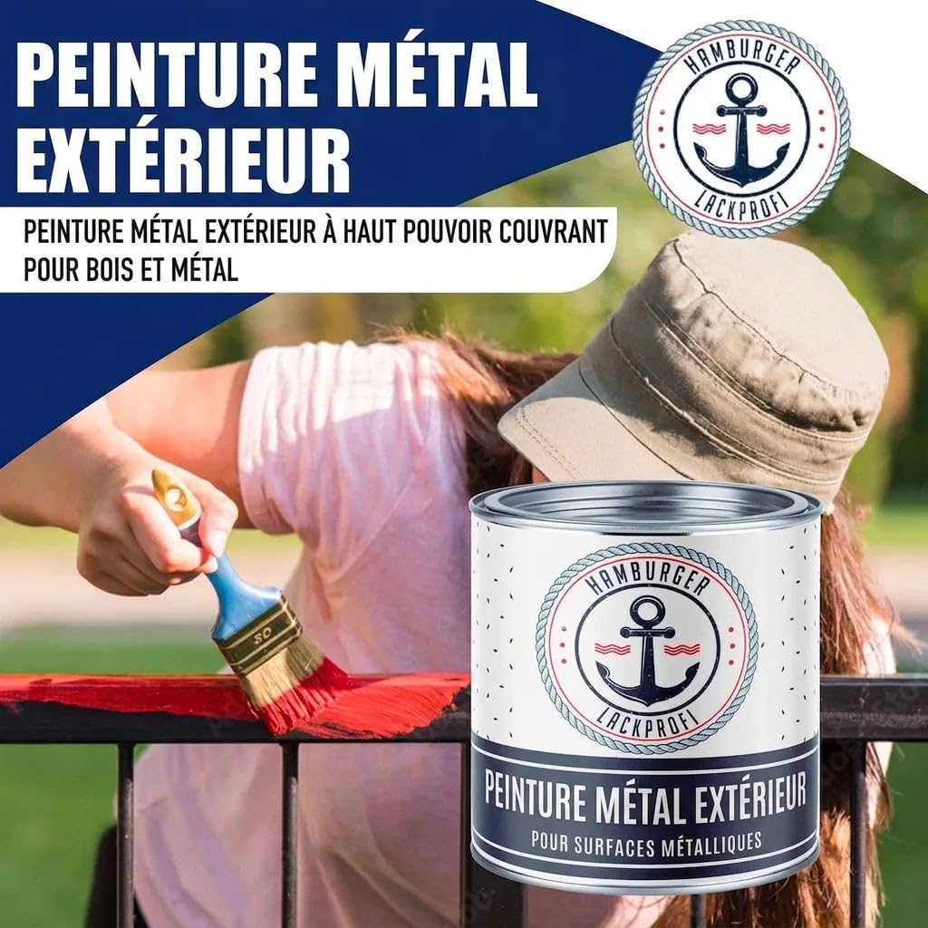 Peinture métal extérieur mat gris quartz RAL 7039 gris Protection métal laque peinture (1 L) Hamburger Lack-Profi