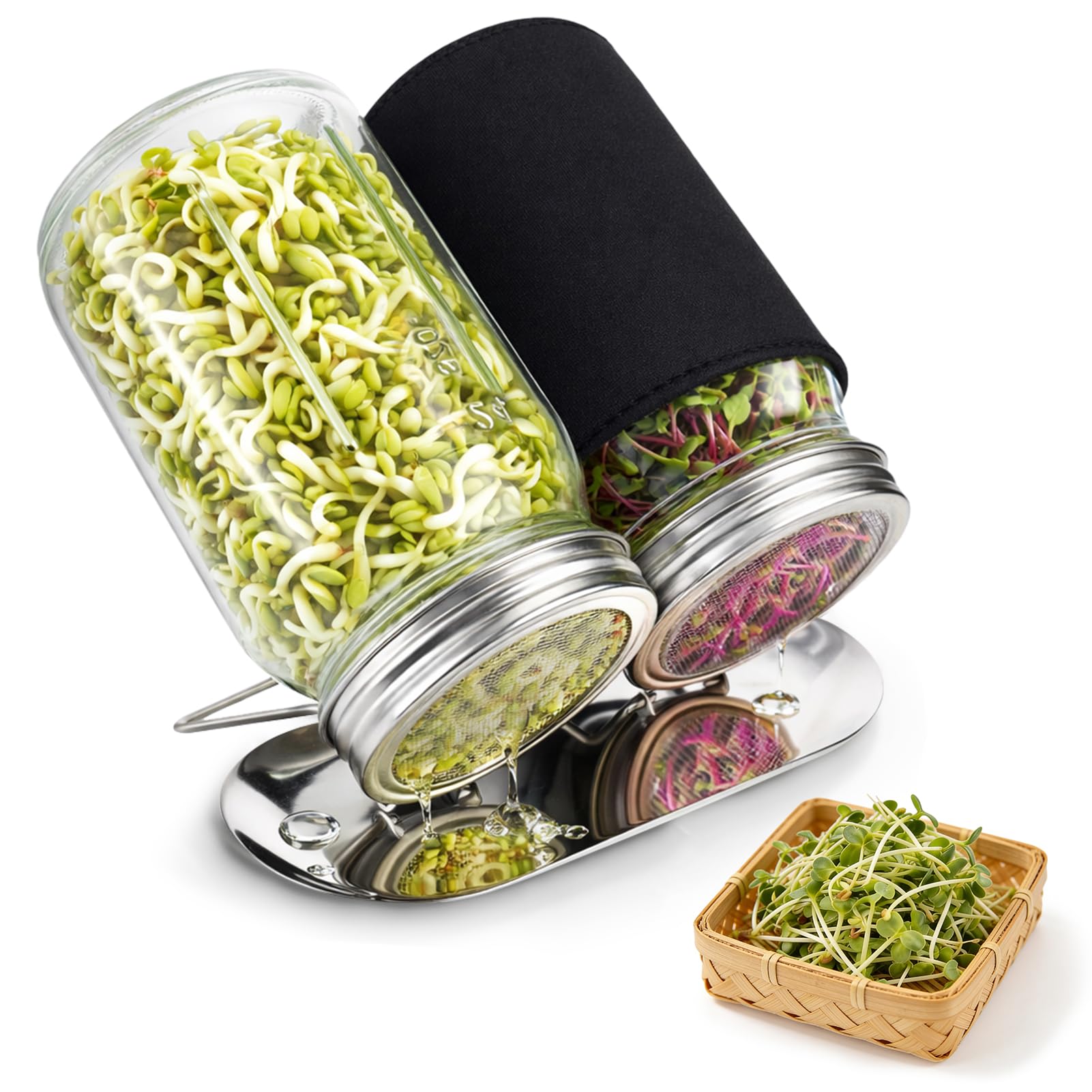 Sprouting Kit with Glass Sprouting Jars & Stainless Steel Sprouting Lids, Complete Seed Sprouting Kit with Angled Drain Stand, Blackout Sleeves & Tray, Sprout Growing Kit for Broccoli Sprouts