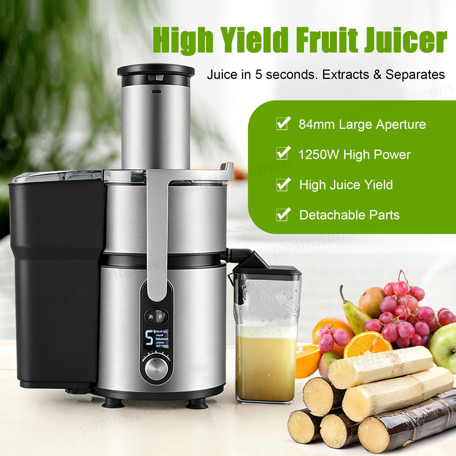 Centrifuga Professionale - Bocca di Alimentazione Extra Larga da 84 mm, Spreme Frutta E Verdura Intere Senza Tagliarle - Alta Resa di Succo, 5 velocità, per Bar, Bar, Bancarelle