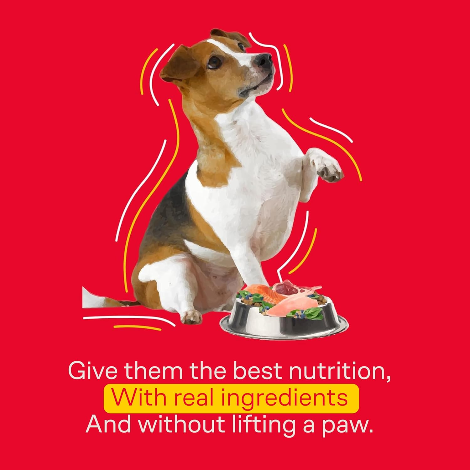 WOOF | Salmon Flavored Adult Dog Kibble | 100% Natural Dog Food | Kibble with Omega 3 & 6, Biotin and Zinc | Wheat, Corn and Soy Free Food | 349 Oz. Bag