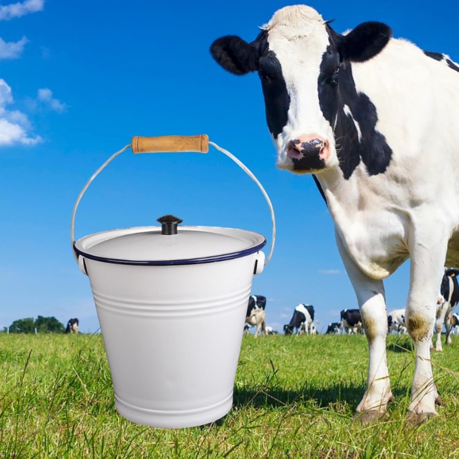 Enamel Bucket Liquid Container Storage Can with Lid 9L with Wood Handle Milk Bucket Metal Pail for Outdoor Activities Garden