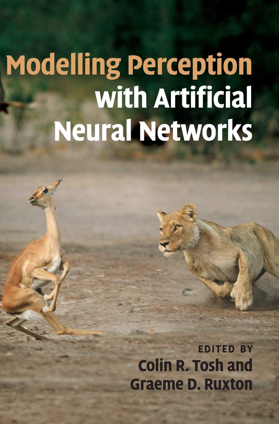 Modelling Perception With Artificial Neural Networks