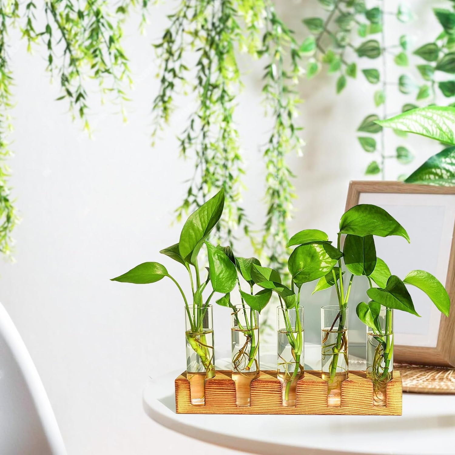 Plant Propagation Station, Plant Terrarium with Wooden Stand, Plants Pots for Hydroponics, Small Birthday Gardening Gifts for Women Mom Plants Lovers Unique - 5 Glass Test Tubes Vases - Image 3