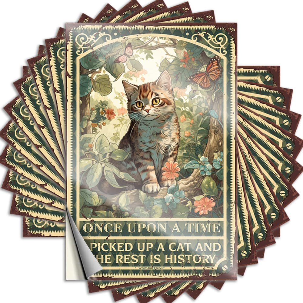 Once Upon A Time I Picked Up A Cat and The Rest is History Happy Funny Sticker | Gaming Waterproof Vinyl Bottle Long Removable Decal Peel Stick(12X18CM)