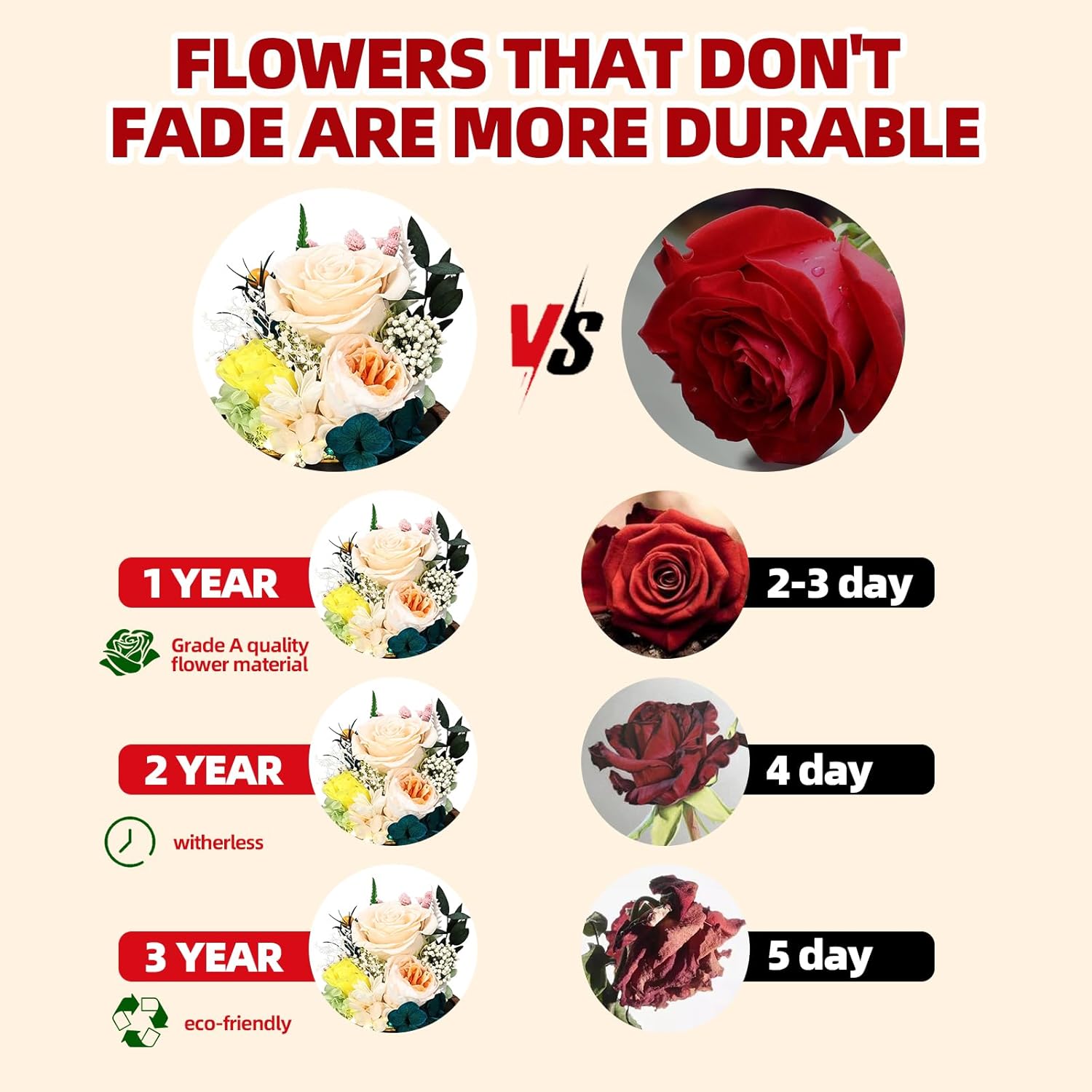 Preserved Rose Glass Dome with LED Light, Decorative Floral Display with Wooden Base (Champagne Rose) - Image 3