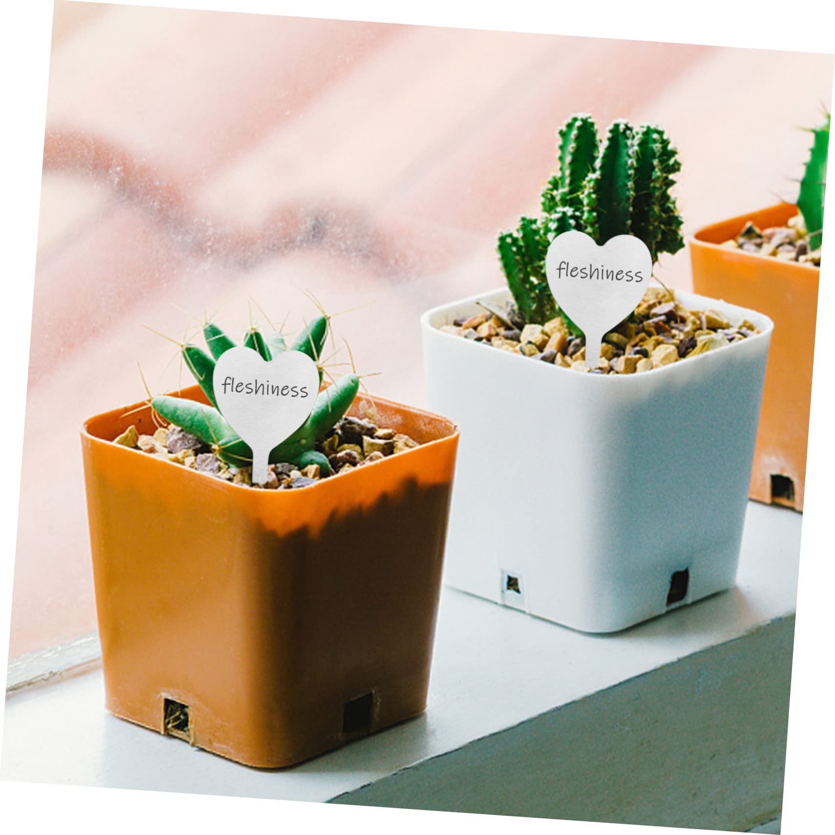 BESTonZON 100pièces Étiquettes De Jardinage Forme De Cœur De Plantes Pour Jardin