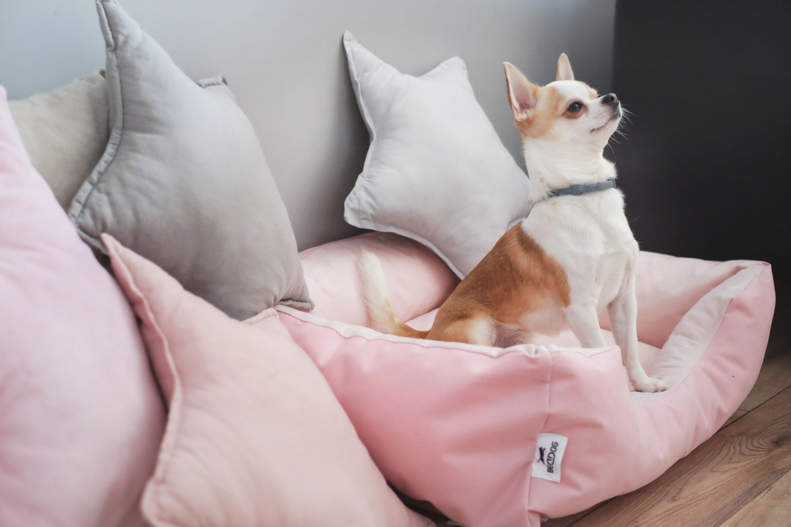 BedDog Zara Cama para Perros Cojín para Perros con Funda Desmontable Lavable, Cesta para Perros Perros Sofá para Perros Pequeños S