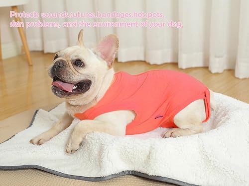 Miniatura 43 de Traje de recuperación de cirugía para perros – Después de la esterilización, heridas abdominales después de la recuperación quirúrgica, antilamida