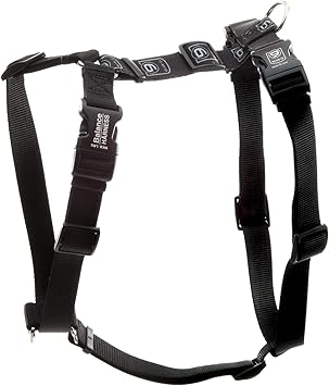 blue 9 harness