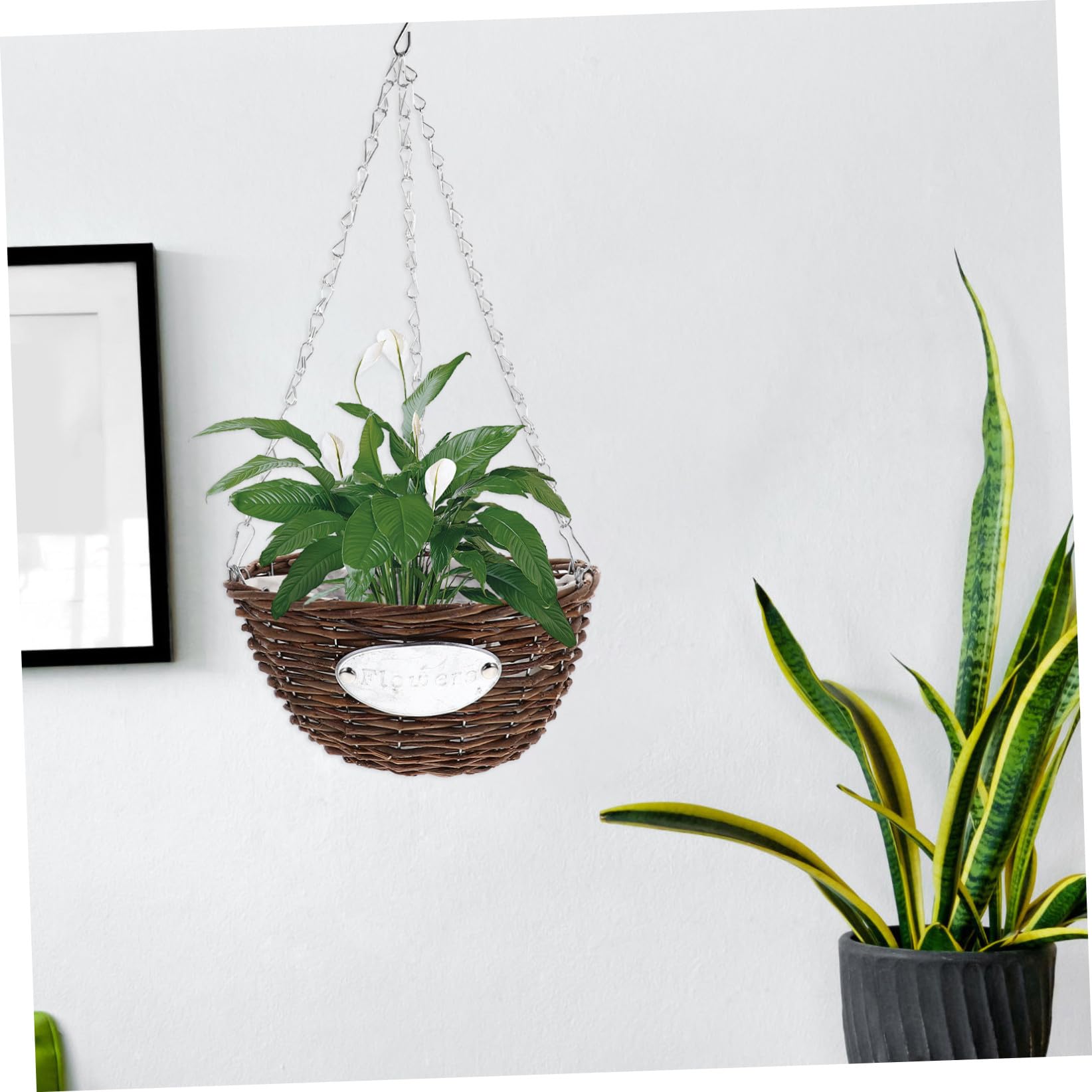 Anneome 2 Pezzi Vasi Sospesi per Piante da Interno in Rattan e Metallo Cesti Sospesi Medi da 25 CM per Balcone Giardino Casa e Ufficio