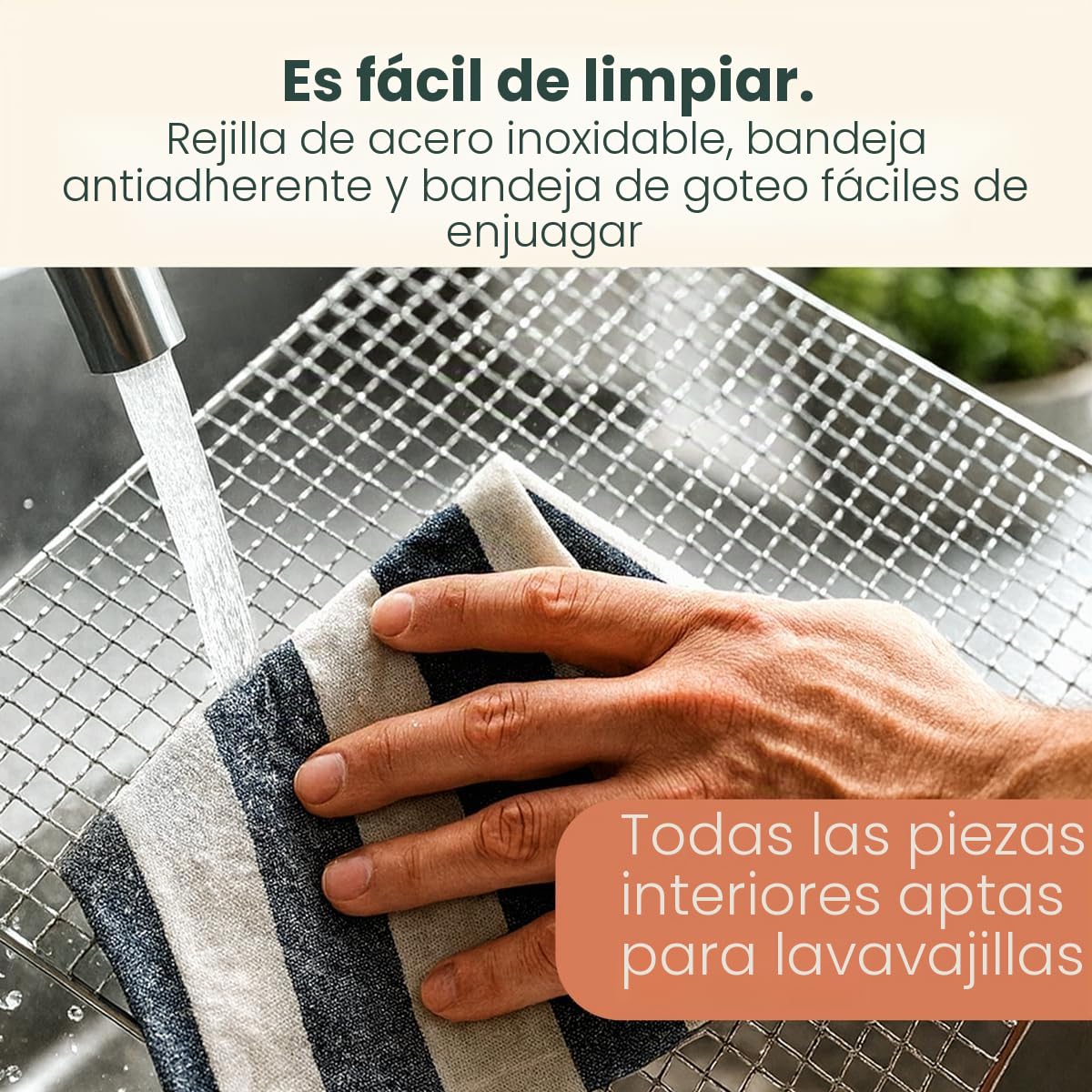 Proficook PC-DR1218 Deshidratador de Alimentos, 6 Bandejas Acero Inoxidable, Temperatura Ajustable 35-75°C, Temporizador 30 min - 24 h, Seca Frutas, Verduras, Carne, Hierbas