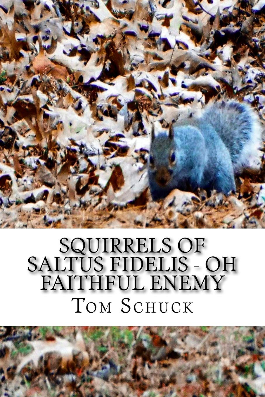 Squirrels of Saltus Fidelis - Oh Faithful Enemy