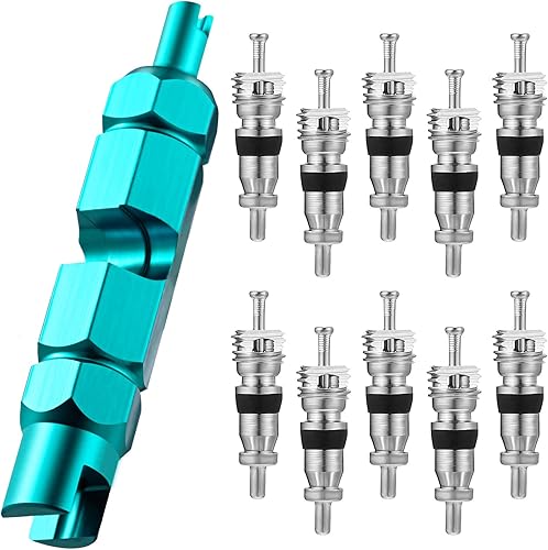 Frienda Kit de herramientas de extracción de núcleo de válvula, extractor de núcleo de válvula, herramienta de apriete de núcleo de válvula de