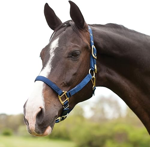 Hamilton Halter de nailon de 1 pulgada con barbilla ajustable, azul marino, tamaño promedio