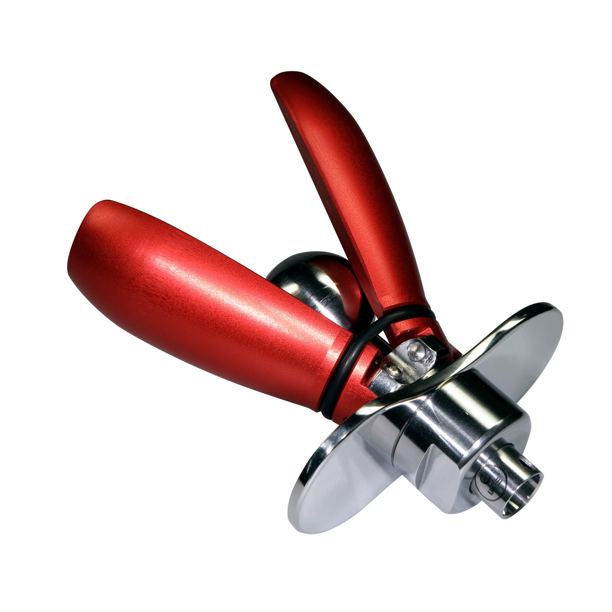 abschließbarer anal plug Asslock Spezial main image 0