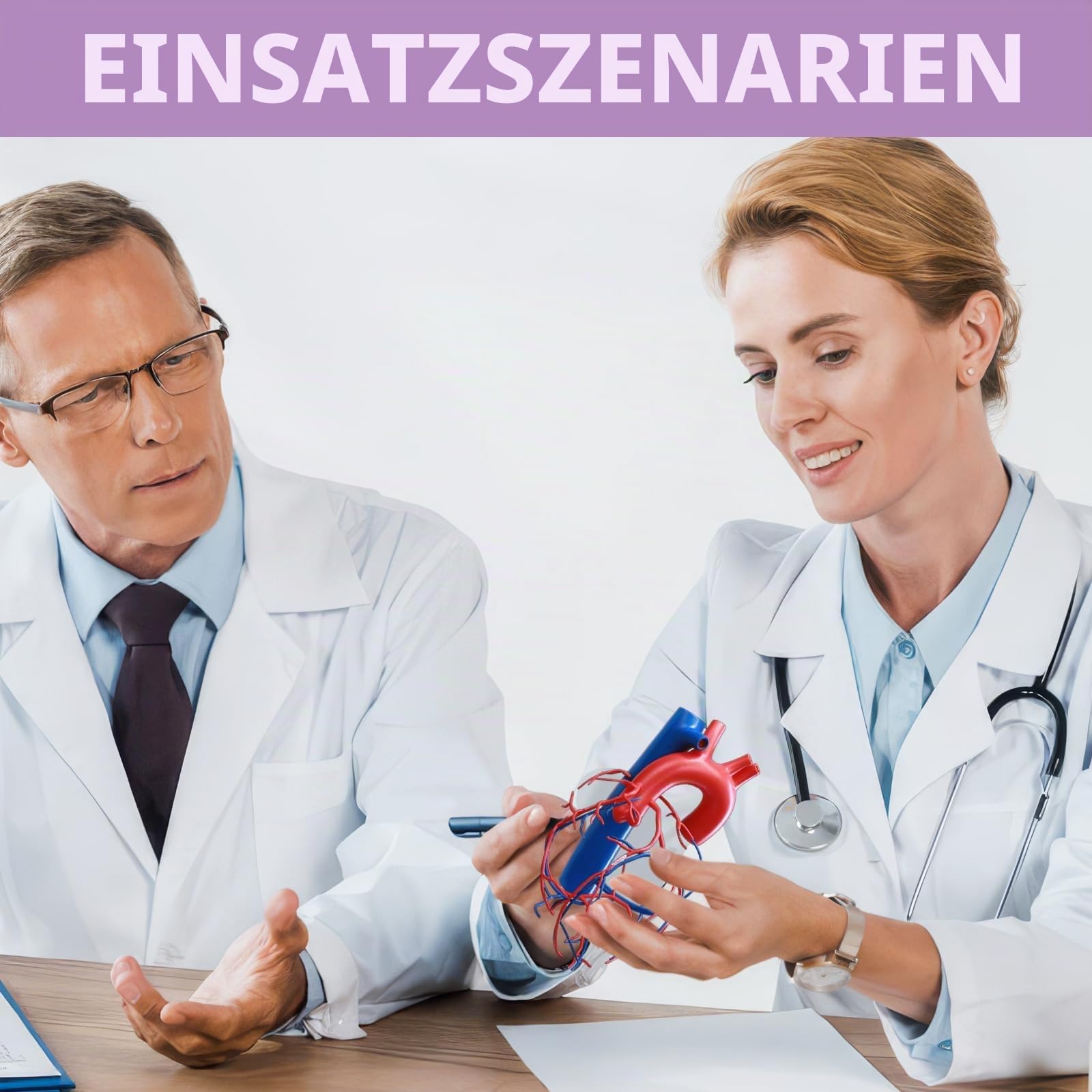 Natürlich Größe Menschliches Herz Modell Gefäßiges Herz mit Basis Erhöhte Größe Koronare Anatomie, die die Herzvenen darstellt
