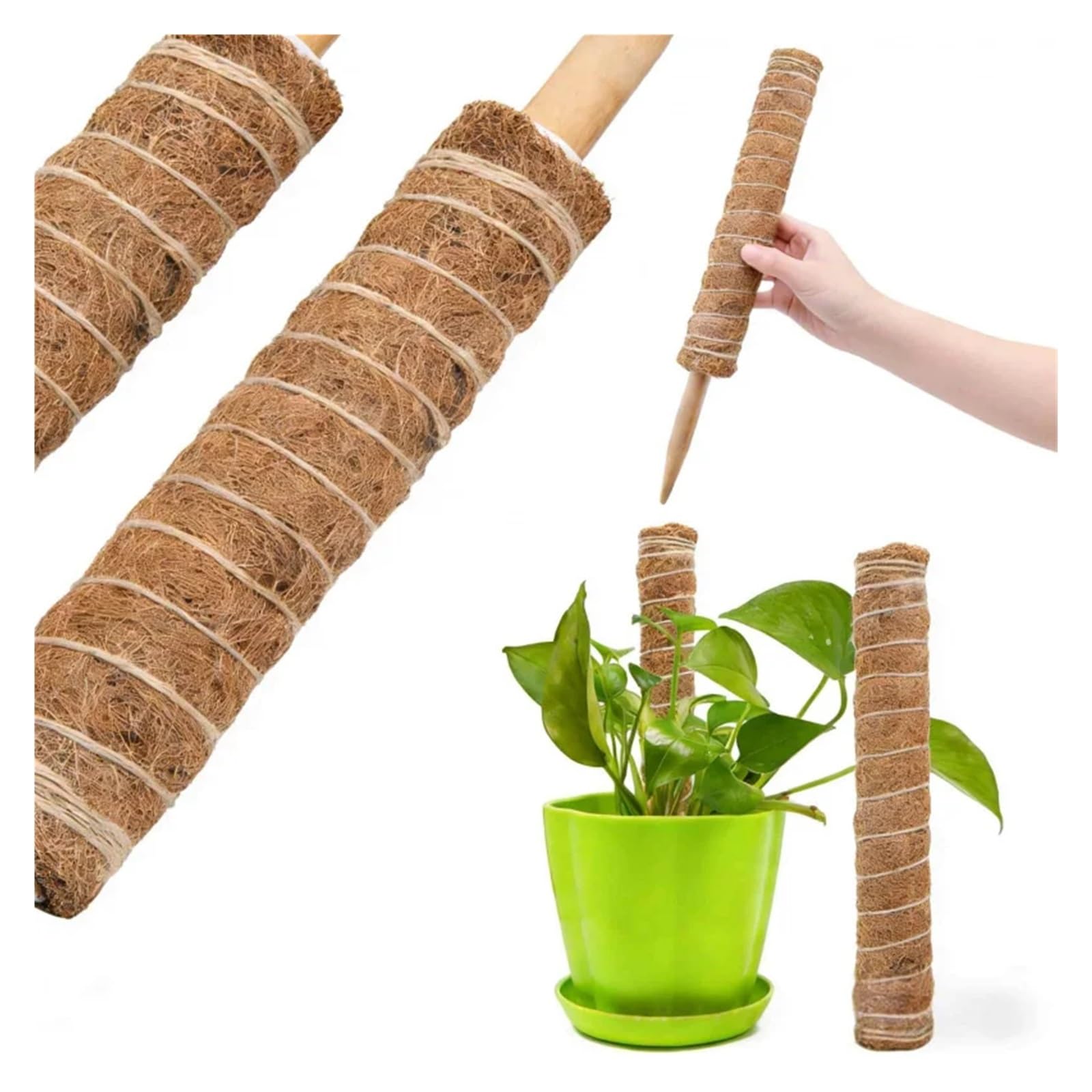 Tuteur Plante Support d'escalade de Lierre de Radis vert2-4, Mousse de Coquille de Noix de Coco emballée, Plante d'intérieur, Support Fixe, Trel empilable(4pcs)
