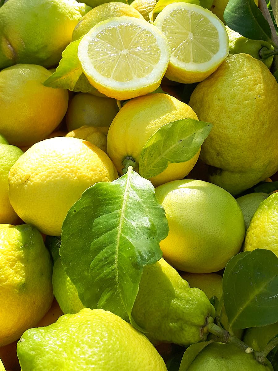 Estock1food Limoni freschi non Trattati 100% Biologici 5KG CALIBRO MISTO Prodotti in Sicilia buccia edibile prodotto top