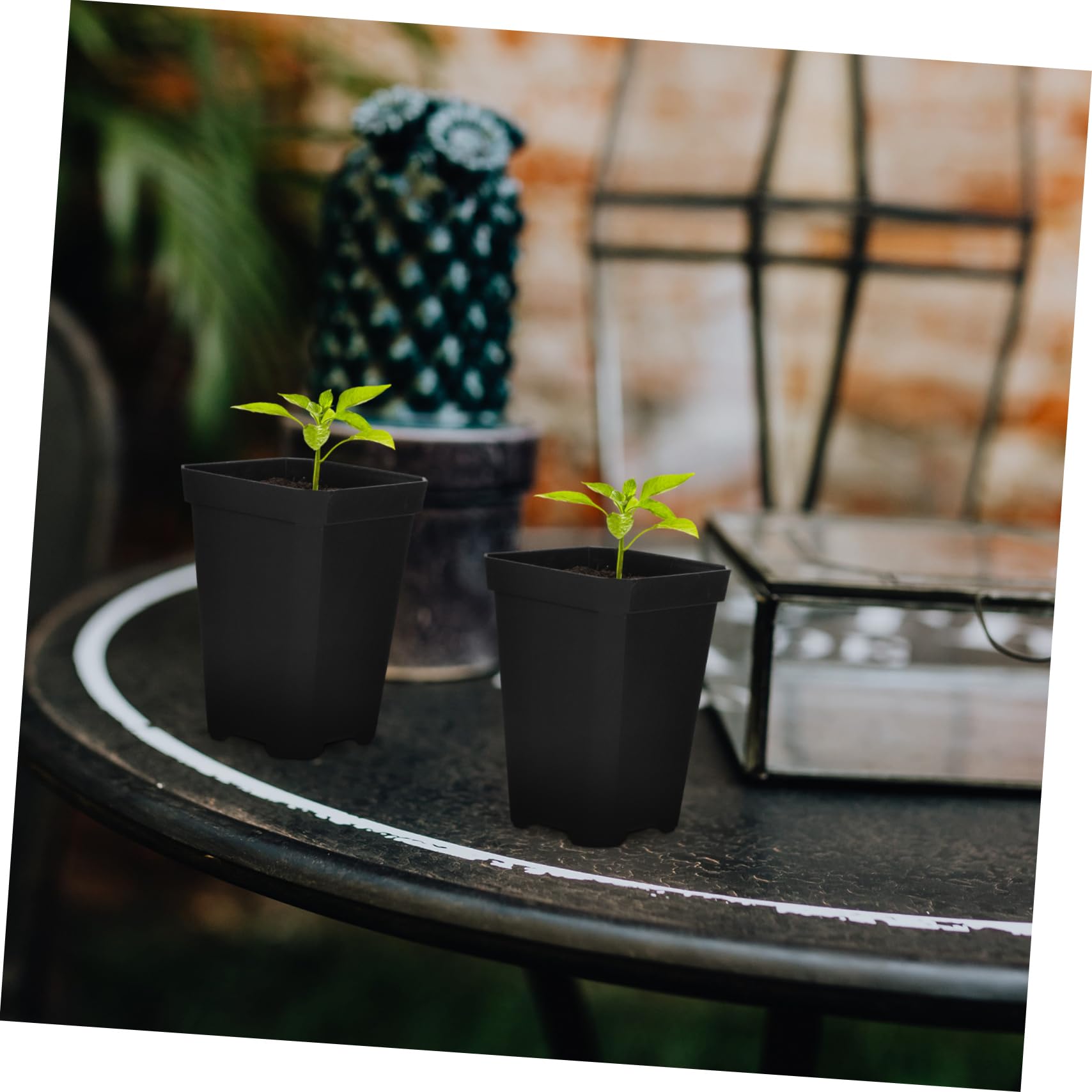 Abaodam 2 Set Vasi per Piantine per Giardinaggio Vasi per Semina e Piante con Finestrature Drenaggio