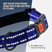 Vista 46 de CollarDirect Reflective Dog Collar for a Small, Medium, Large Dog or Puppy with a Quick Release Buckle - Boy and Girl - Nylon Suitable for Swimming