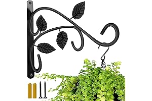 Hanging Plant Bracket Indoor Wall Mount, 12 Inch - Decorative and Rust-Resistant...
