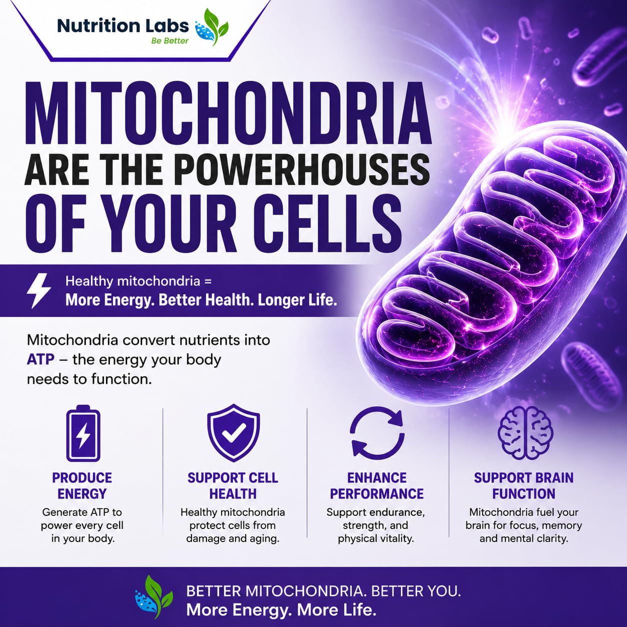 Urolithin A Supplement for Women & Men in Liposomal Form – Mitochondrial Health, Cellular Energy, Healthy Aging, Muscle Strength & Endurance Support – High Bioavailability – Nutrition Labs — Amazon image 2