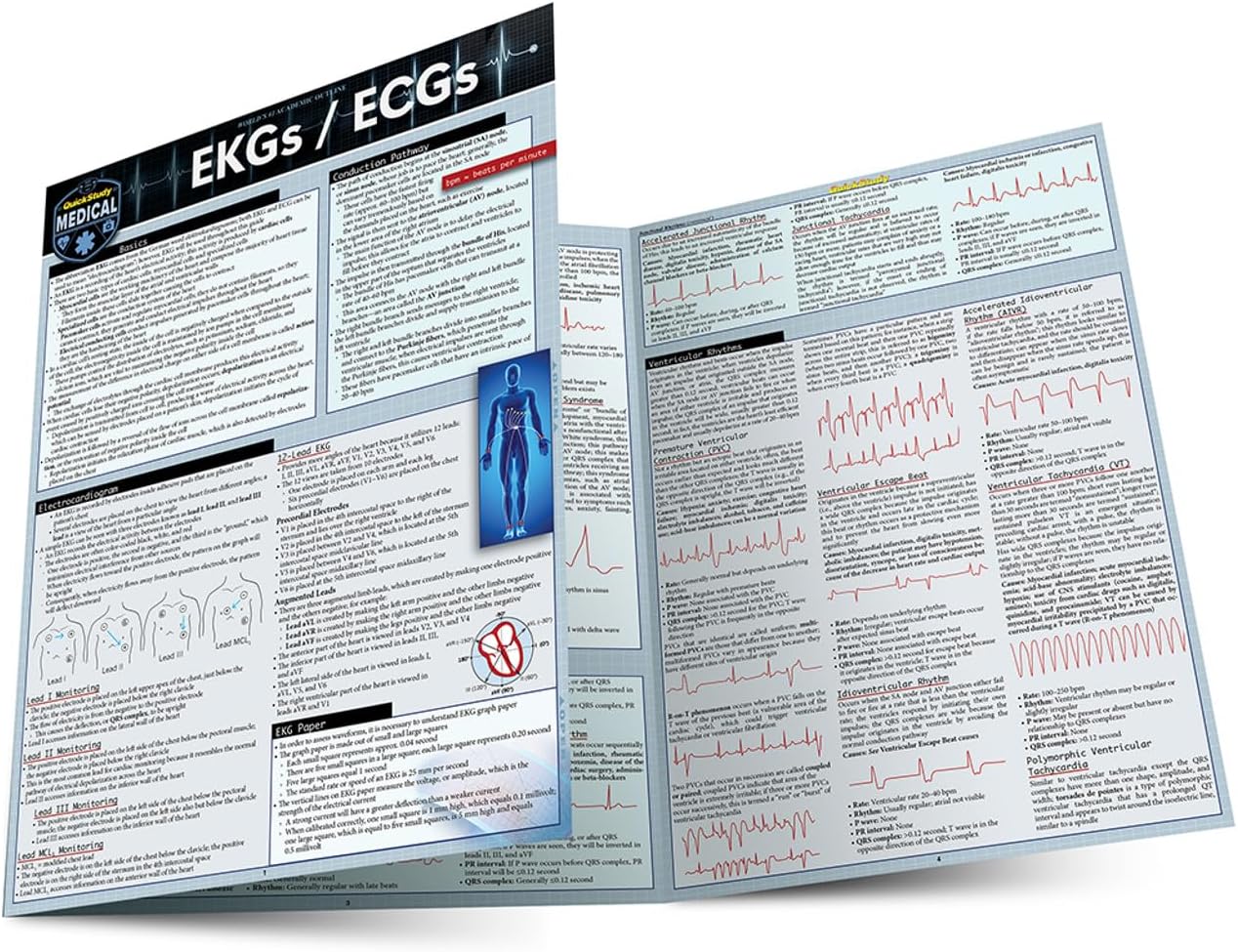 EKGs / ECGs: a QuickStudy Laminated Reference Guide