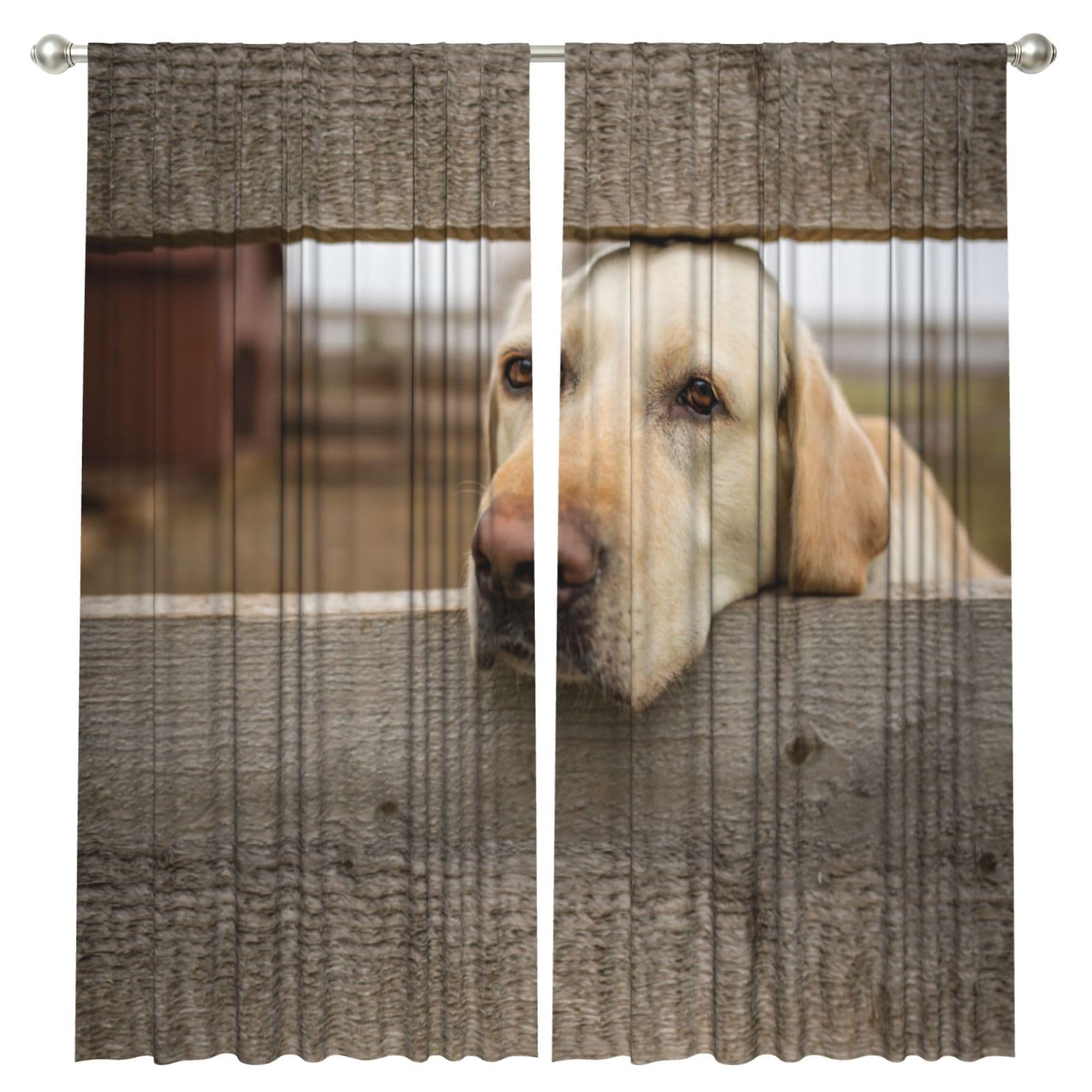 InOmak Labrador Retriever Photos, 2 Panels Window Curtains 52 x 84 Inch Blackout Curtains for Living Room Bedroom