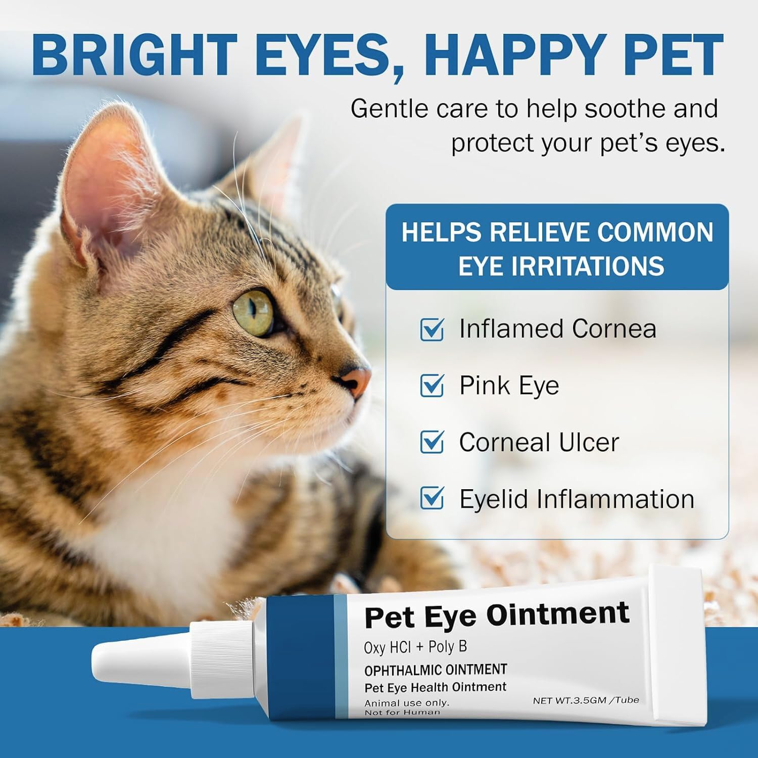 POLKA Terramypol Eye Ointment for Cats and Dogs, Horses, Birds, Sheep 3.5g/0.125oz - Pack of 2 — Amazon image 2